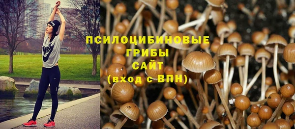 соль курить ск Арсеньев