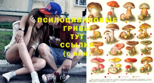 соль курить ск Арсеньев