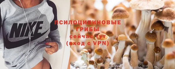 соль курить ск Арсеньев